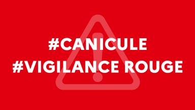 Vignette rouge avec les textes CANICULE et VIGILANCE ROUGE