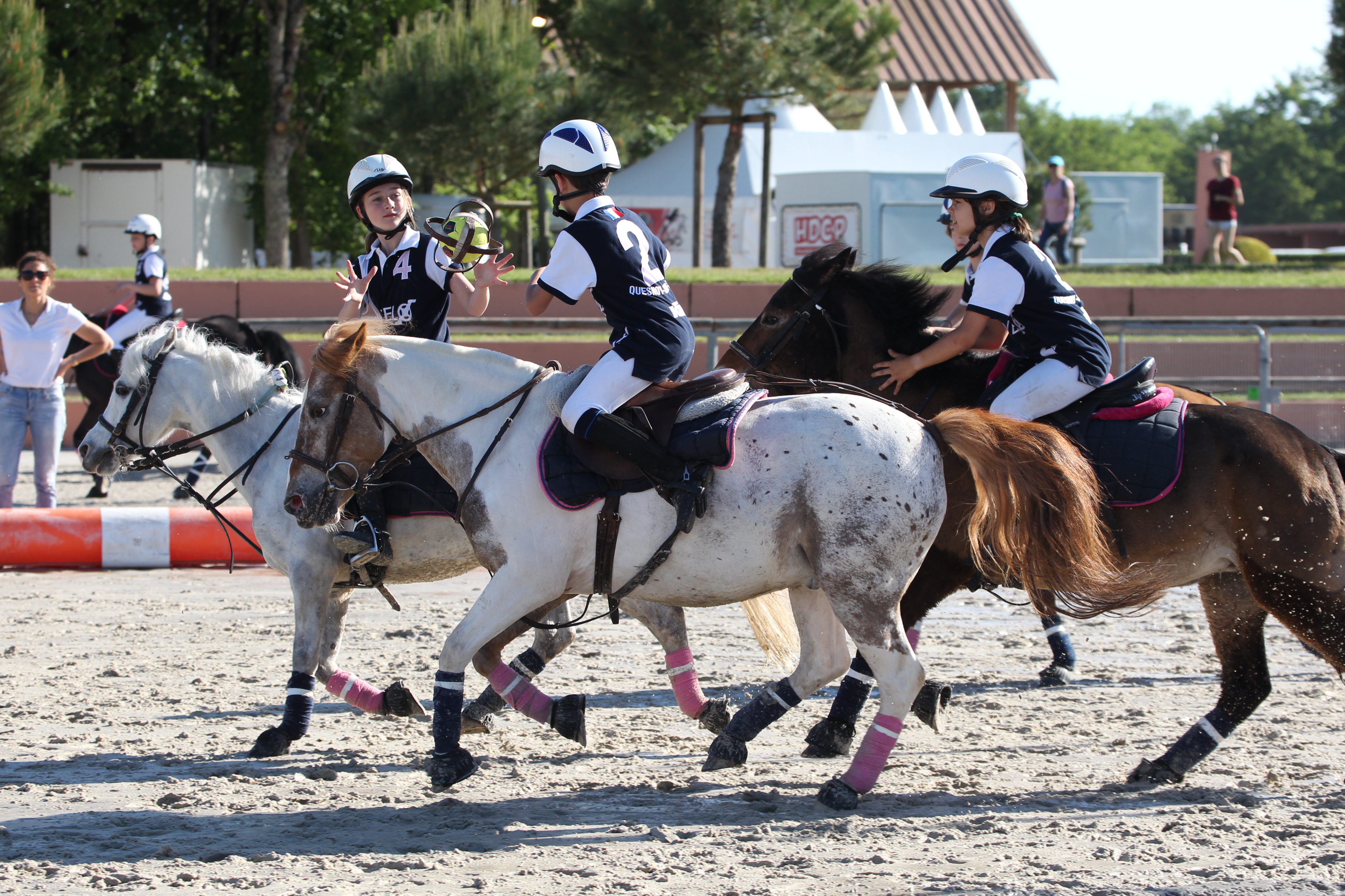 L'équitation western : Les bonnes pratiques et équipement à respecter -  Randonné Equestre Dordogne : Centre d'équitation de Nouvelle Aquitaine